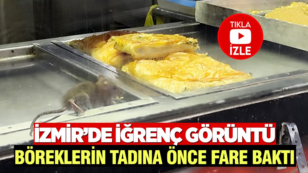 İzmir’de iğrenç görüntü: Böreklerin tadına önce fare baktı