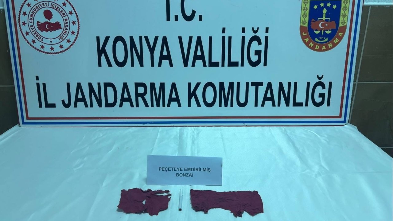 Konya’da jandarmasından uyuşturucu operasyonu!