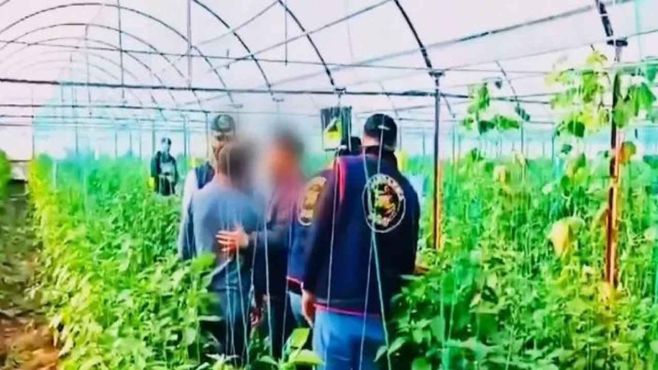 Bakan Yerlikaya 7 yıllık cinayet firarisinin yakalandığını duyurdu