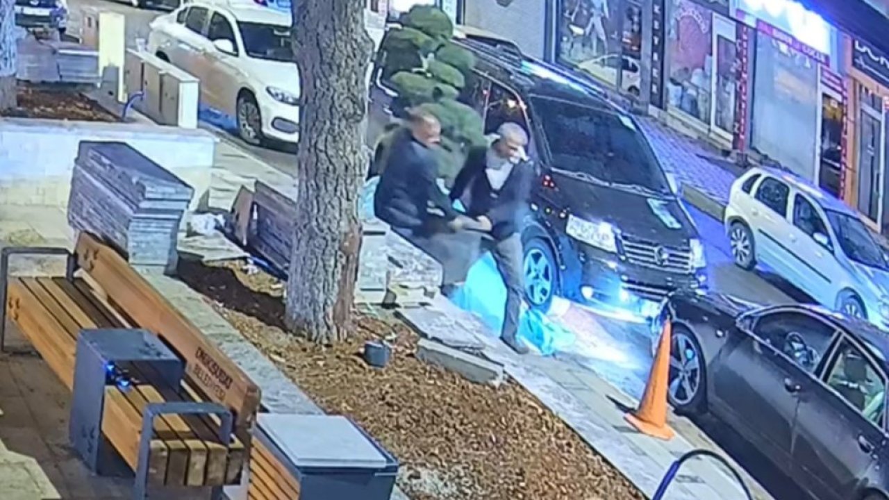 Bu da ağaç hırsızlığı: Parktaki ağacı araçla çaldılar