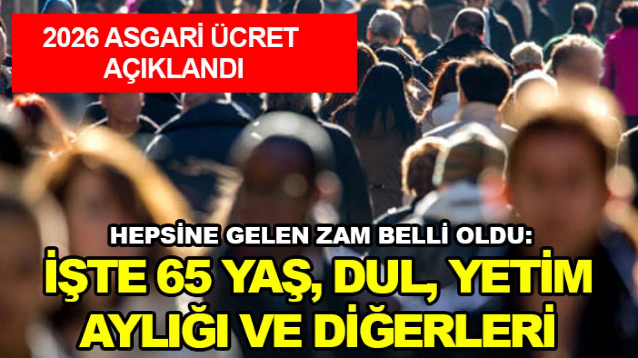 Asgari ücret açıklandı, hepsine gelen zam belli oldu: İşte 65 yaş, dul, yetim aylığı ve diğerleri