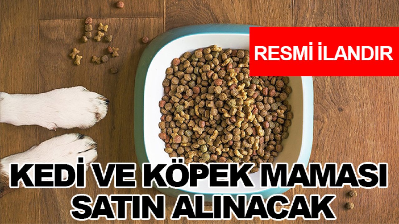 Kedi ve köpek maması satın alınacak