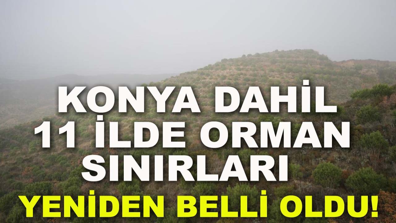 Konya dahil 11 ilde orman sınırları yeniden belli oldu!