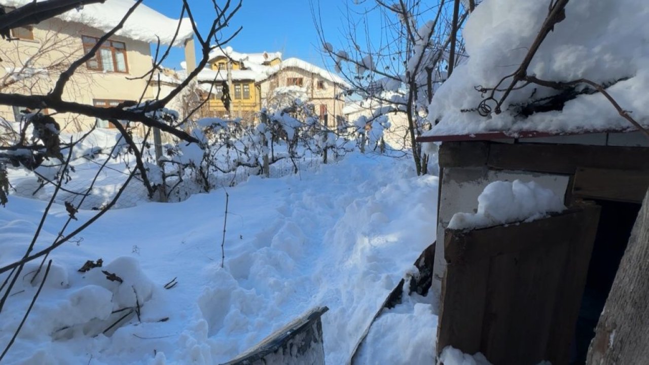 80 yaşındaki kadın donmuş halde ölü bulundu!