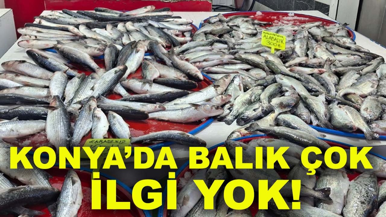 Konya’da balık çok ilgi yok! İşte Konya’da güncel balık fiyatları…