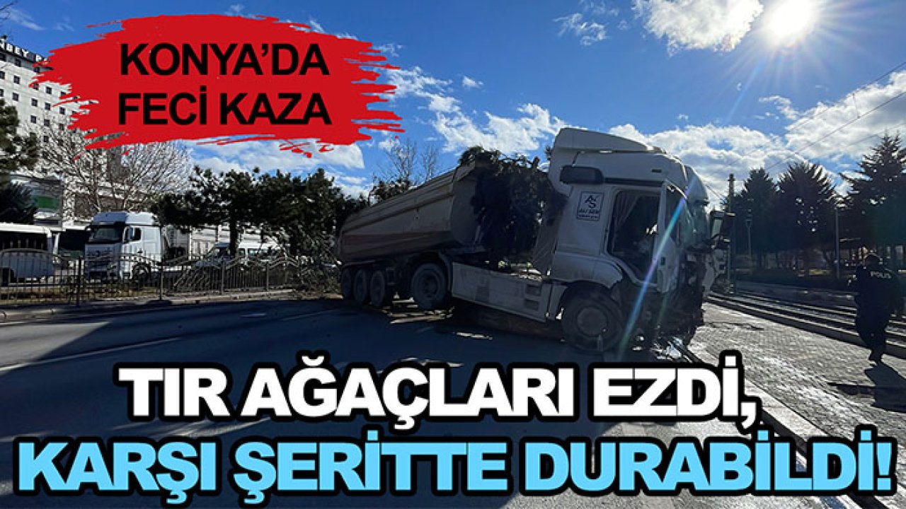 Konya'da feci kaza! TIR ağaçları ezdi,  karşı şeritte durabildi! Sürücü ağır yaralı