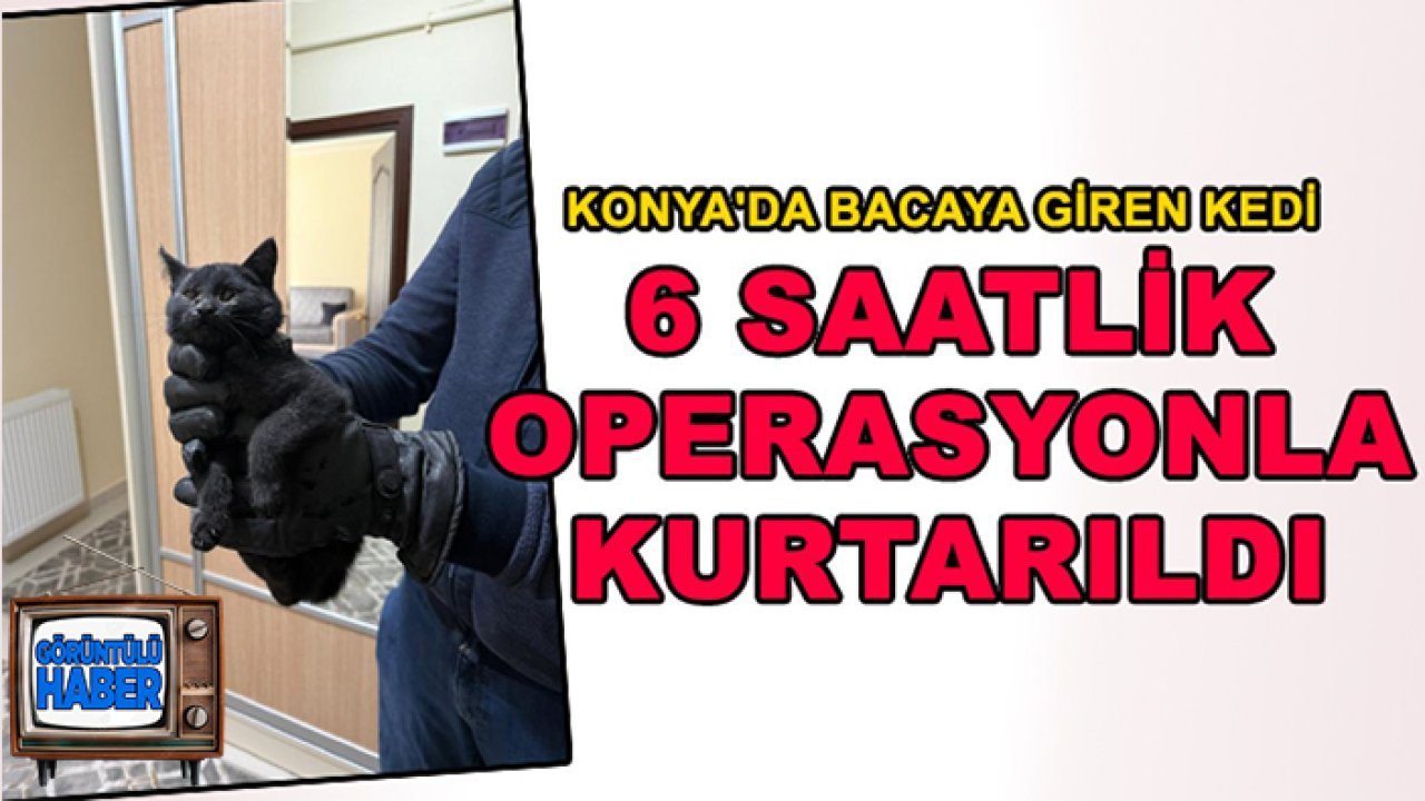 Konya'da bacaya giren kedi 6 saatlik operasyonla kurtarıldı