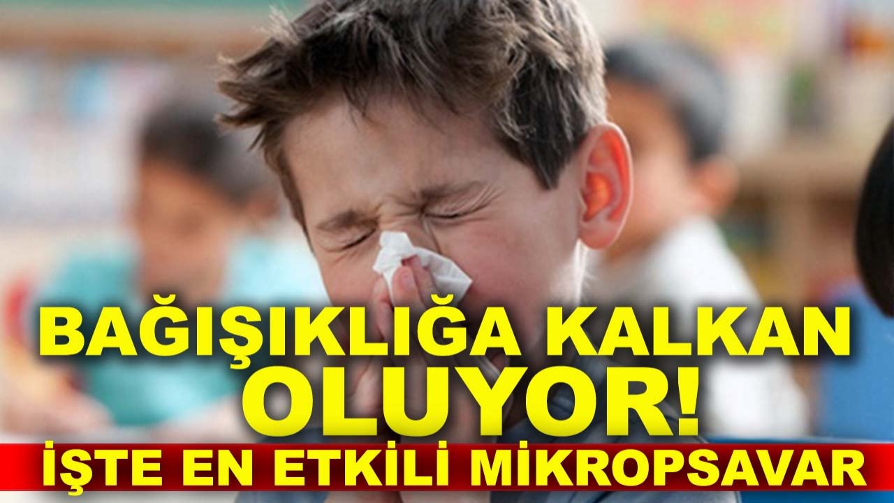 Haftada iki kez tüketildiğinde bağışıklığa kalkan oluyor! İşte en etkili mikropsavar