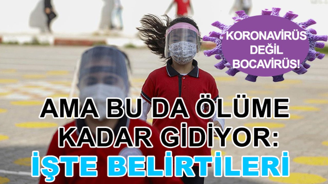 Koronavirüs değil bocavirüs! Ama bu da ölüme kadar gidiyor: İşte belirtileri