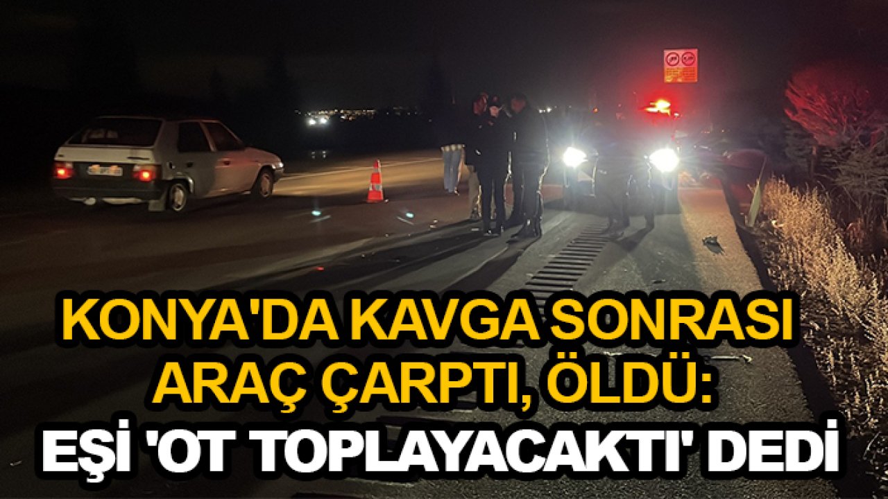 Konya'da kavga sonrası araç çarptı, öldü: Eşi 'ot toplayacaktı' dedi