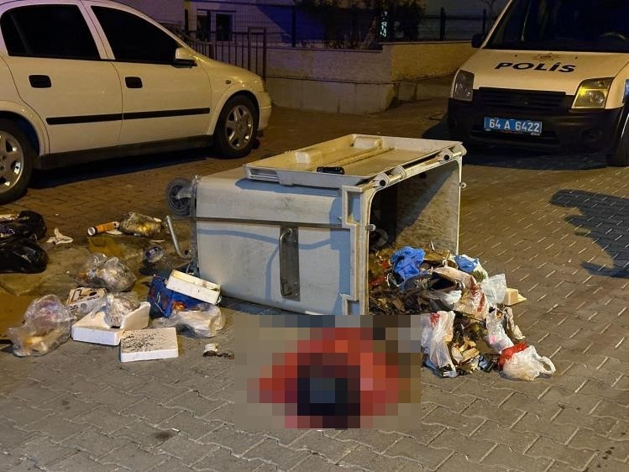 Kan donduran olay: Çöpten yeni doğmuş bebek cesedi çıktı!