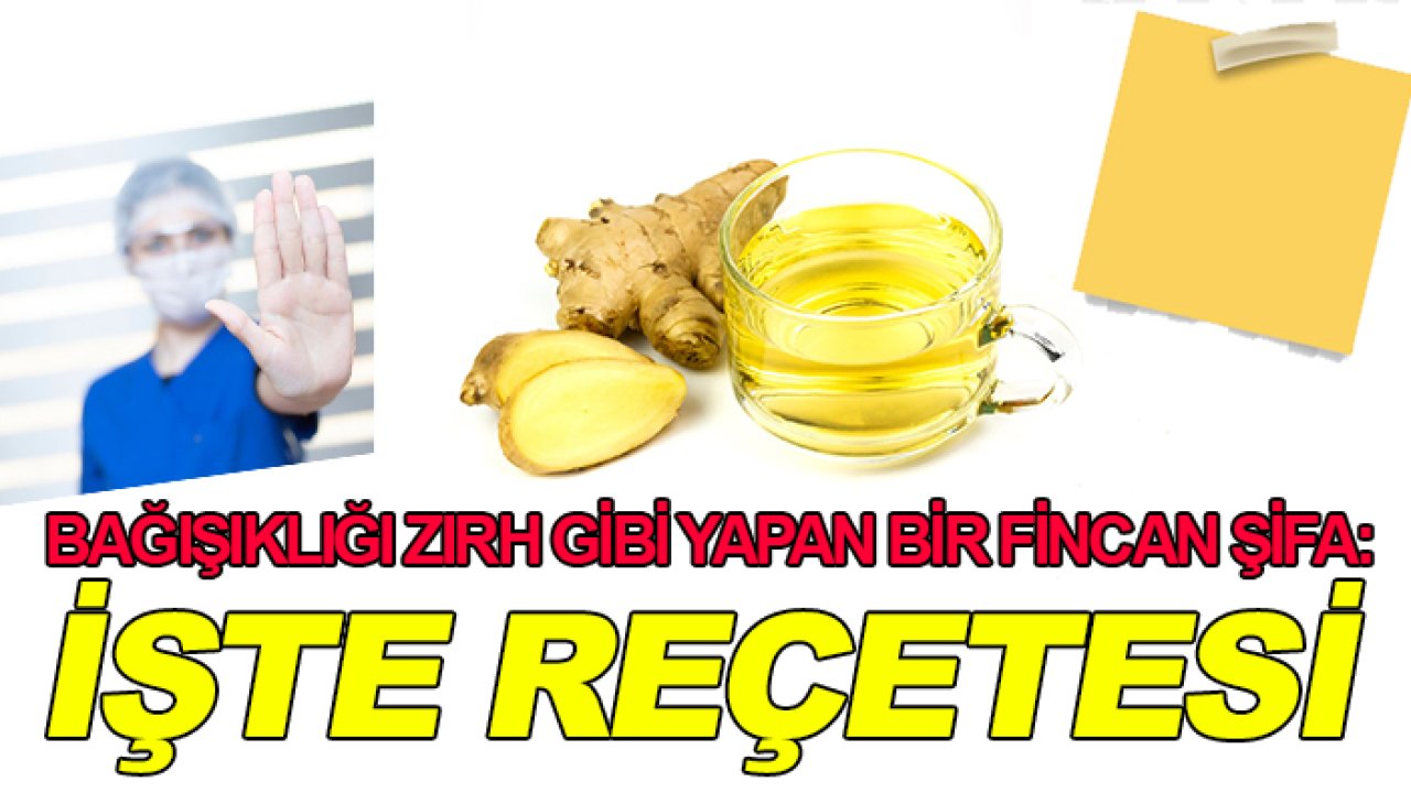 Bağışıklığı zırh gibi yapan bir fincan şifa: İşte reçetesi