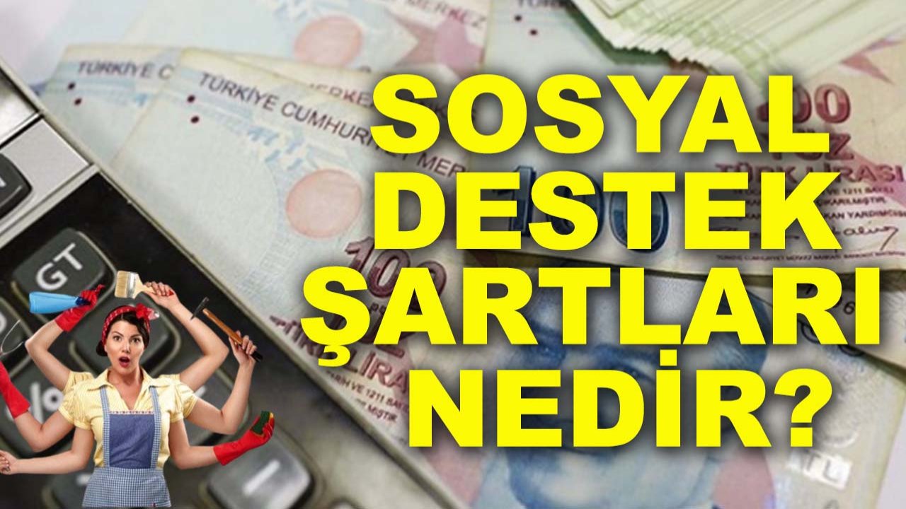 Ev hanımlarına sosyal destek şartları nedir?