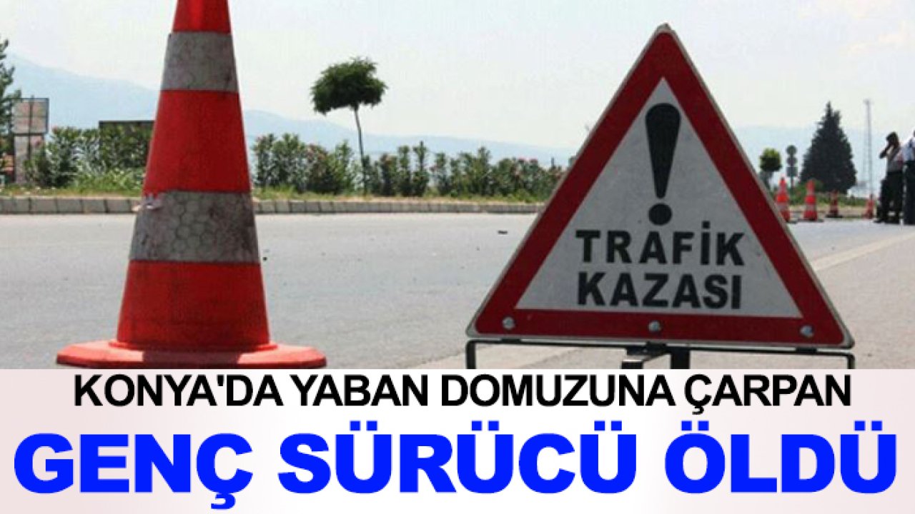 Konya'da yaban domuzuna çarpan genç sürücü öldü