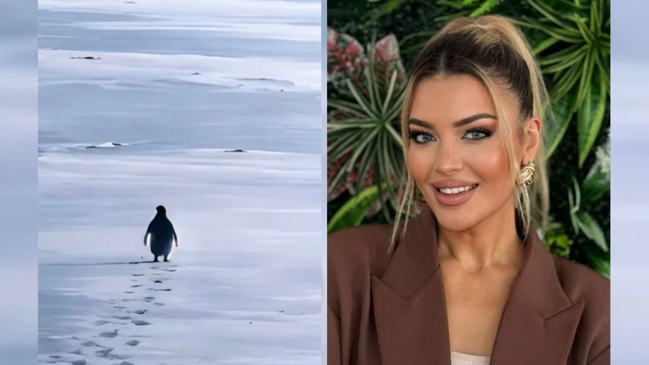 Psikolog İlayda İpekel: Nihilist penguen videosu zayıflık değil, özgürlük olarak okunmalı