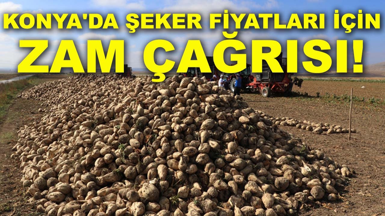 Konya'da şeker fiyatları için zam çağrısı!