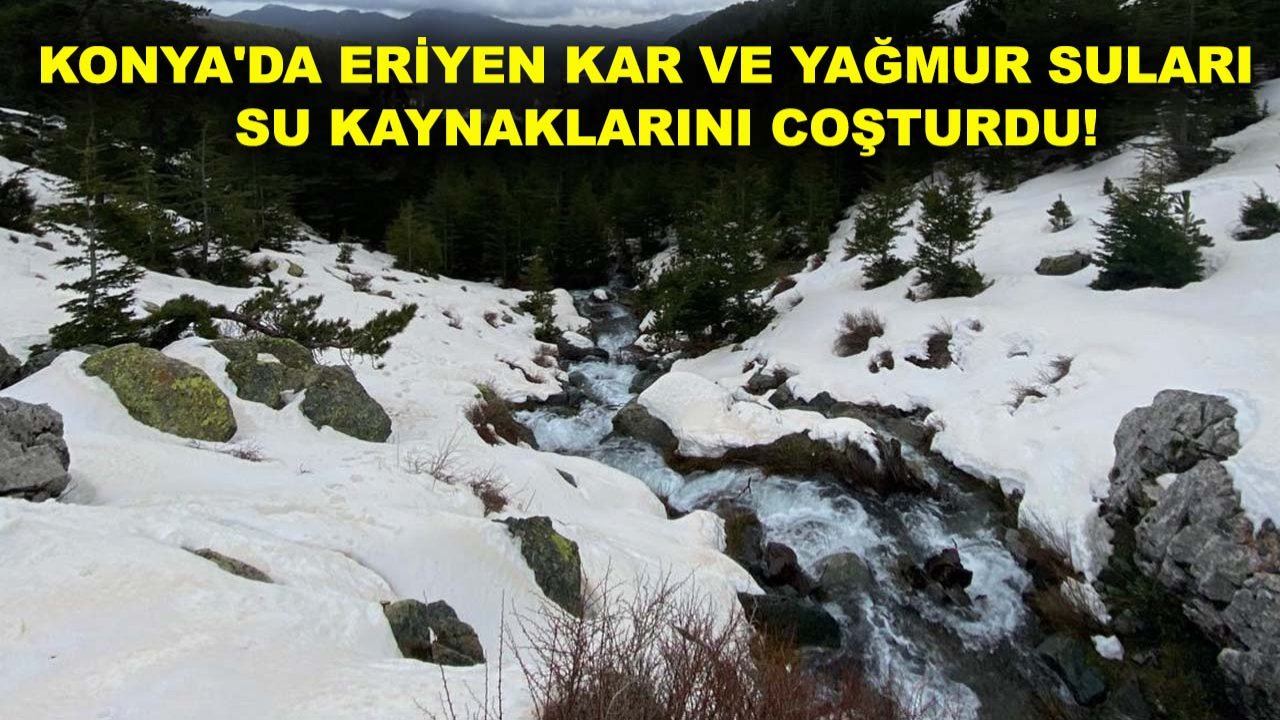 Konya'da eriyen kar ve yağmur suları su kaynaklarını coşturdu!