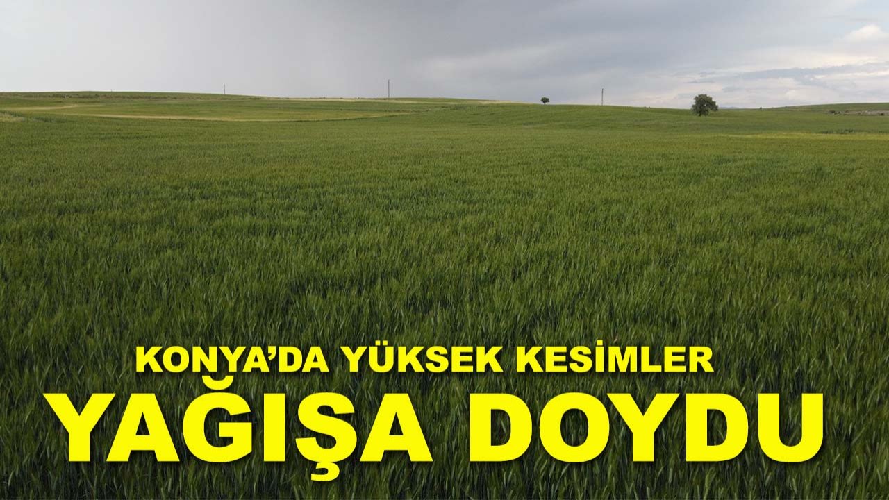 Konya’da yüksek kesimler yağışa doydu