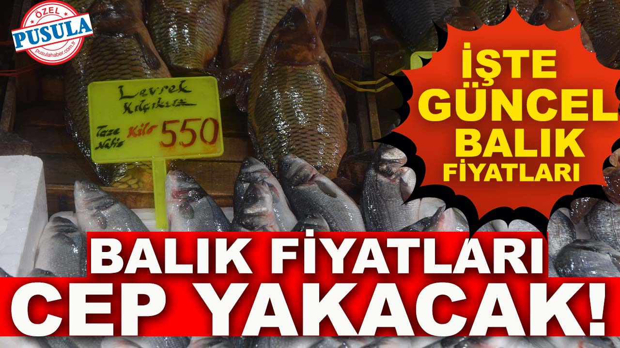 Konya’da Ramazan'da balık fiyatları cep yakacak! İşte güncel balık fiyatları...
