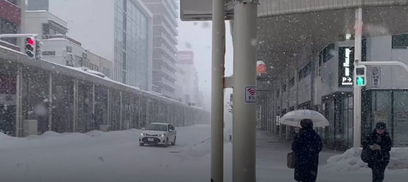 Japonya’da 46 kişi kar fırtınasında öldü