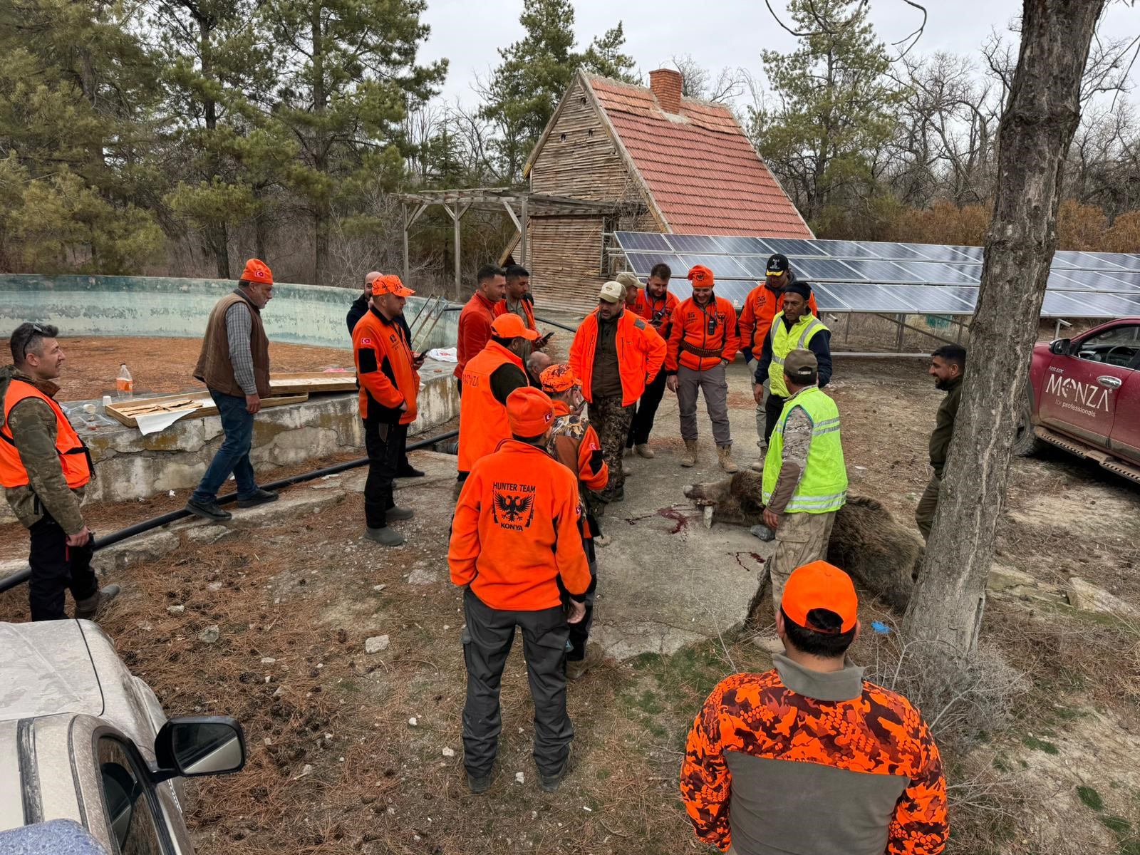 Konya’da arazilere zarar veren yaban domuzlarına sürek avı!
