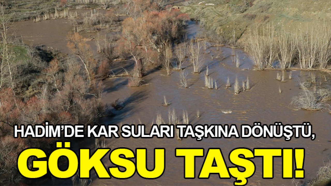 Hadim’de kar suları taşkına dönüştü, Göksu taştı!
