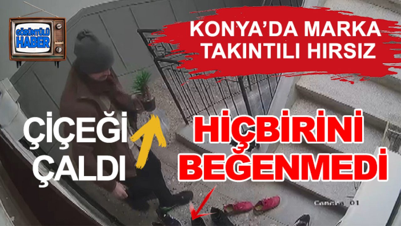 Konya'da bir garip hırsızlık! Marka takıntısı varmış