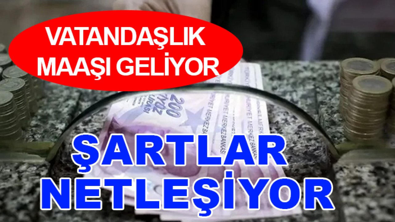 Vatandaşlık maaşı geliyor: Şartlar netleşiyor