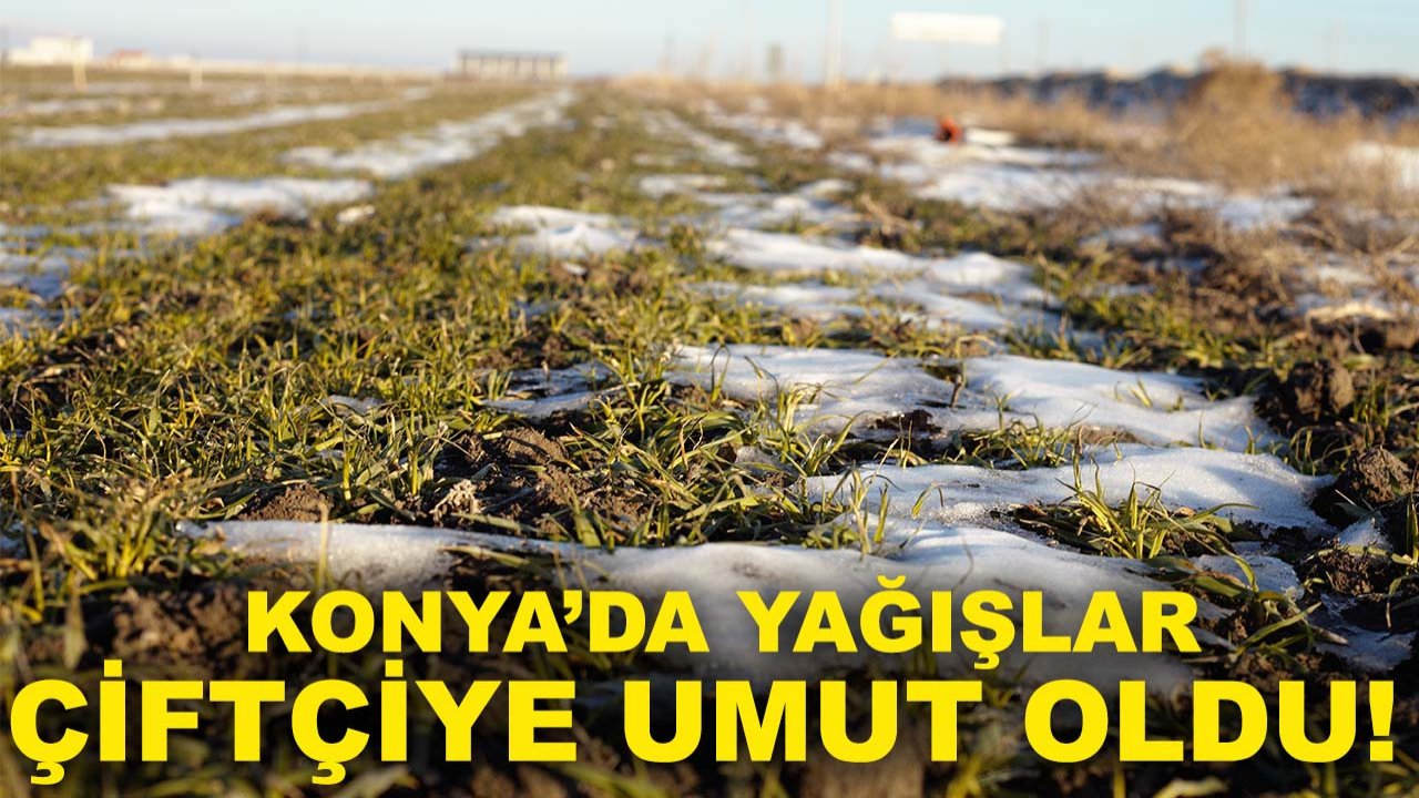 Konya’da yağışlar çiftçiye umut oldu!