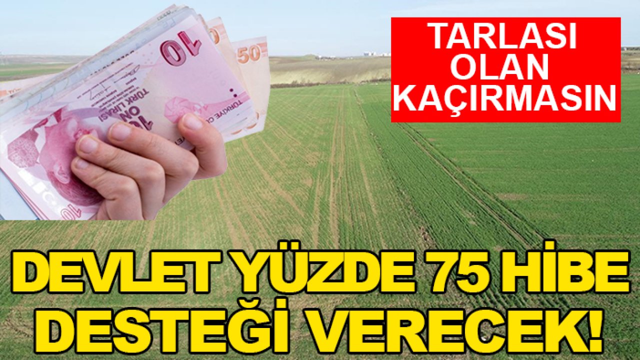 Tarlası olan kaçırmasın: Devlet yüzde 75 hibe desteği verecek! Resmi Gazete'de yayımlandı