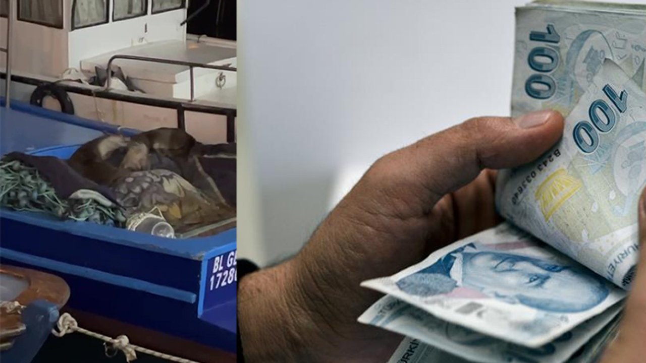 Gözlerine inanamadı! Anne ve yavruları teknesine sığınmış: Öldürmenin cezası 100 bin lira