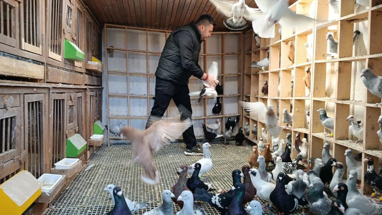 Kuş uğruna memurluğu bıraktı, şimdi otomobil fiyatına satıyor