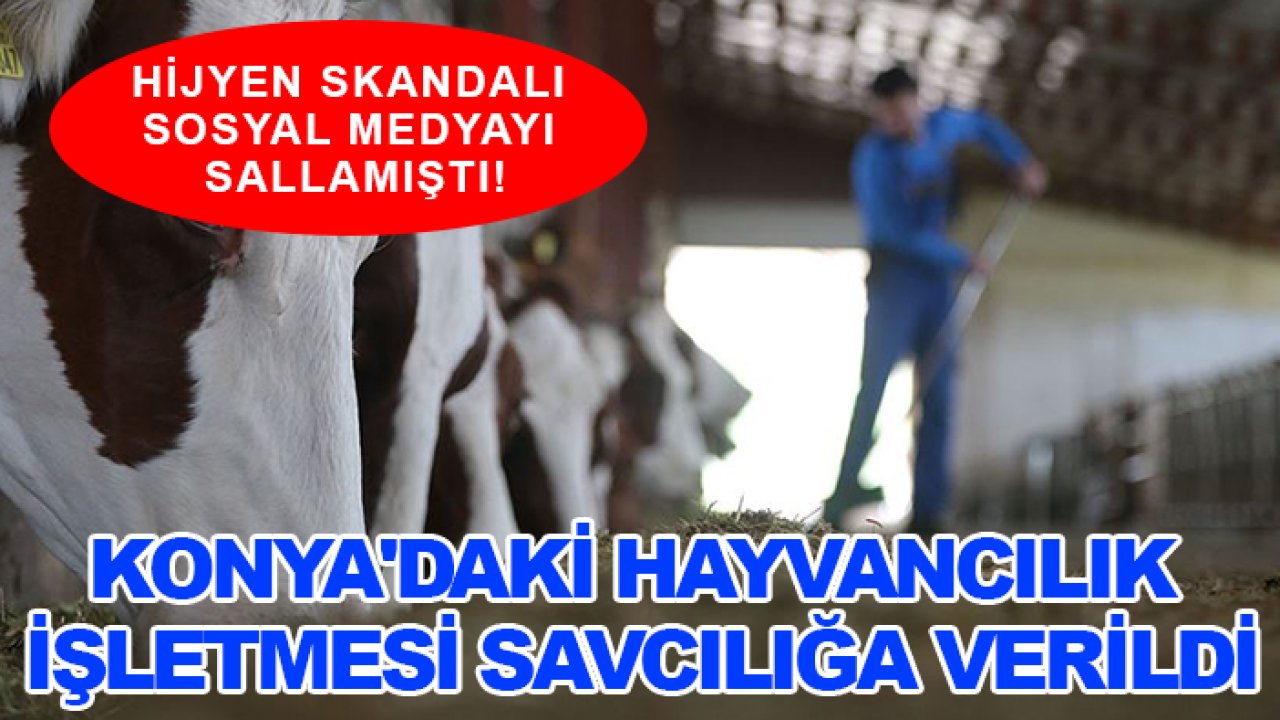 Hijyen skandalı sosyal medyayı sallamıştı! Konya'daki hayvancılık işletmesi savcılığa verildi