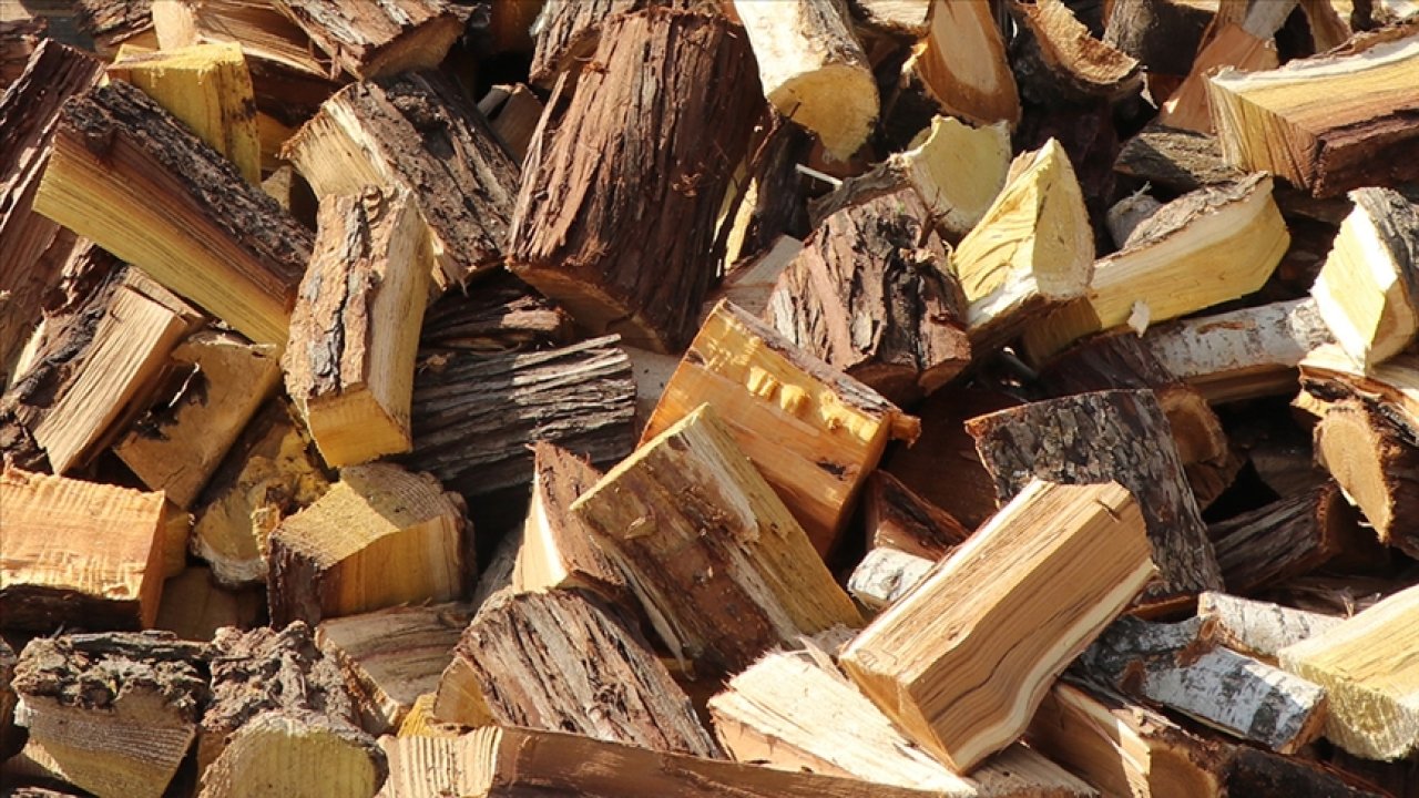 Annesini odunla vurarak öldürdü!