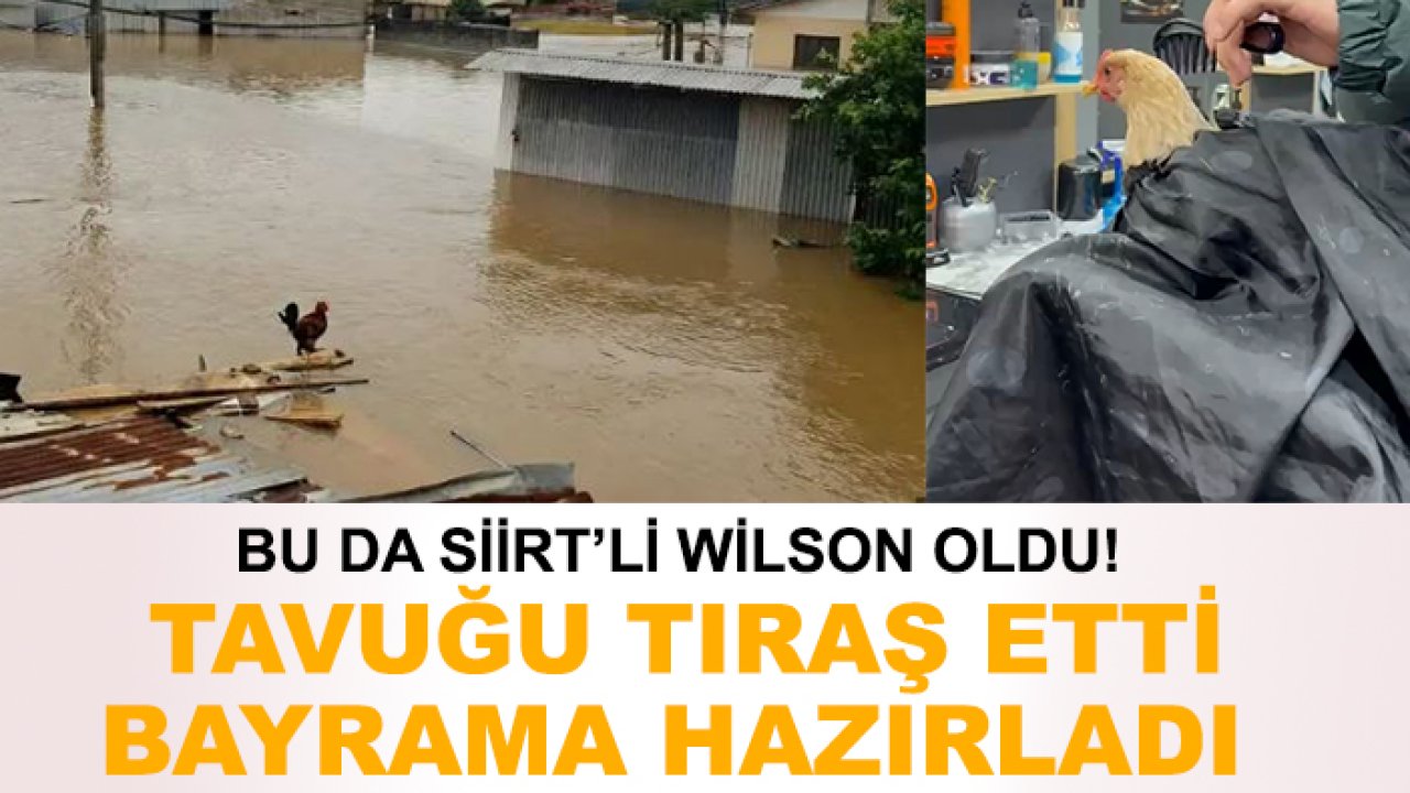 Bu da Siirt’li Wilson oldu! Tavuğu tıraş etti bayrama hazırladı