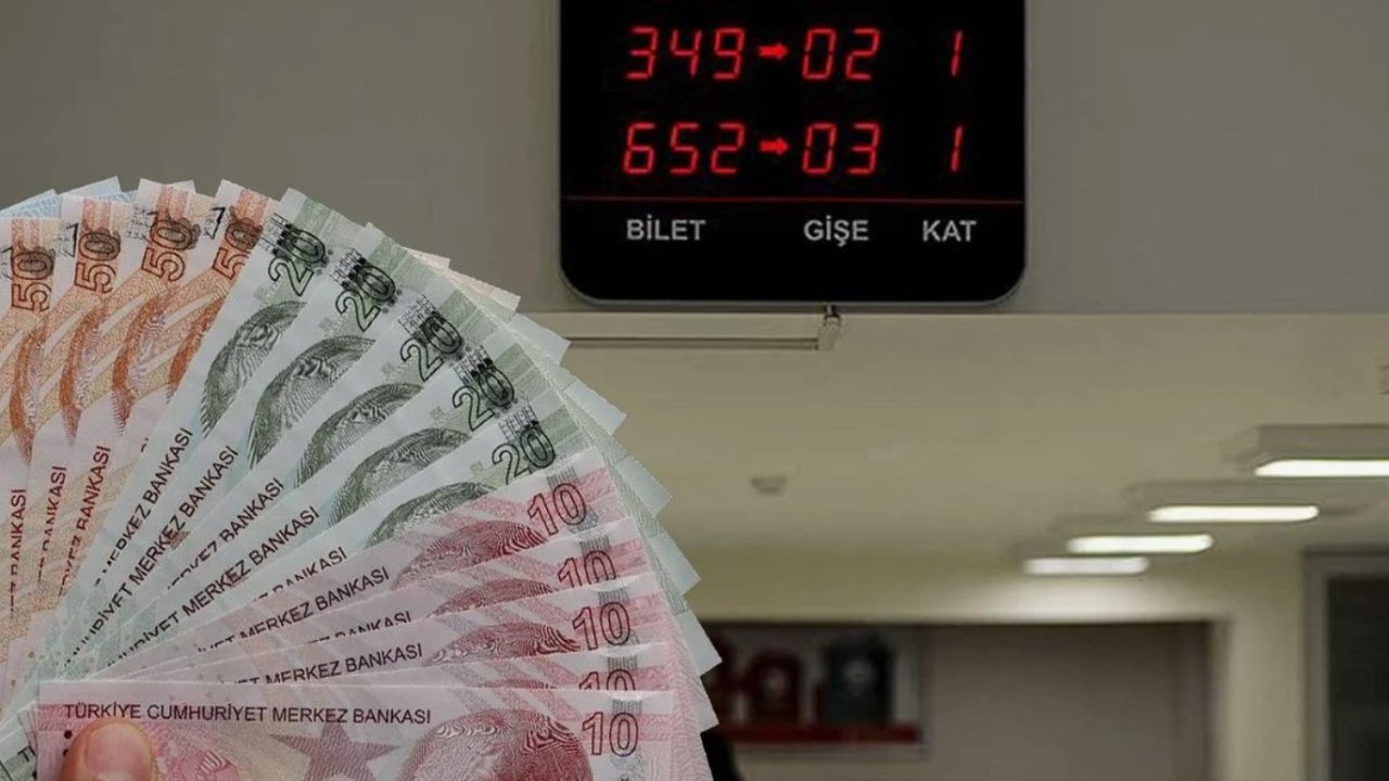 BDDK onay verdi, Fuzul Katılım Bankası kuruldu