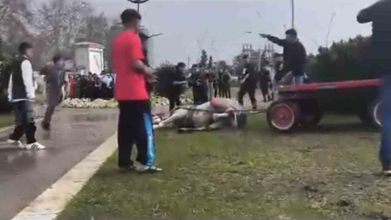 Adana’da yürek sızlatan olay: Atını döve döve bayılttı!