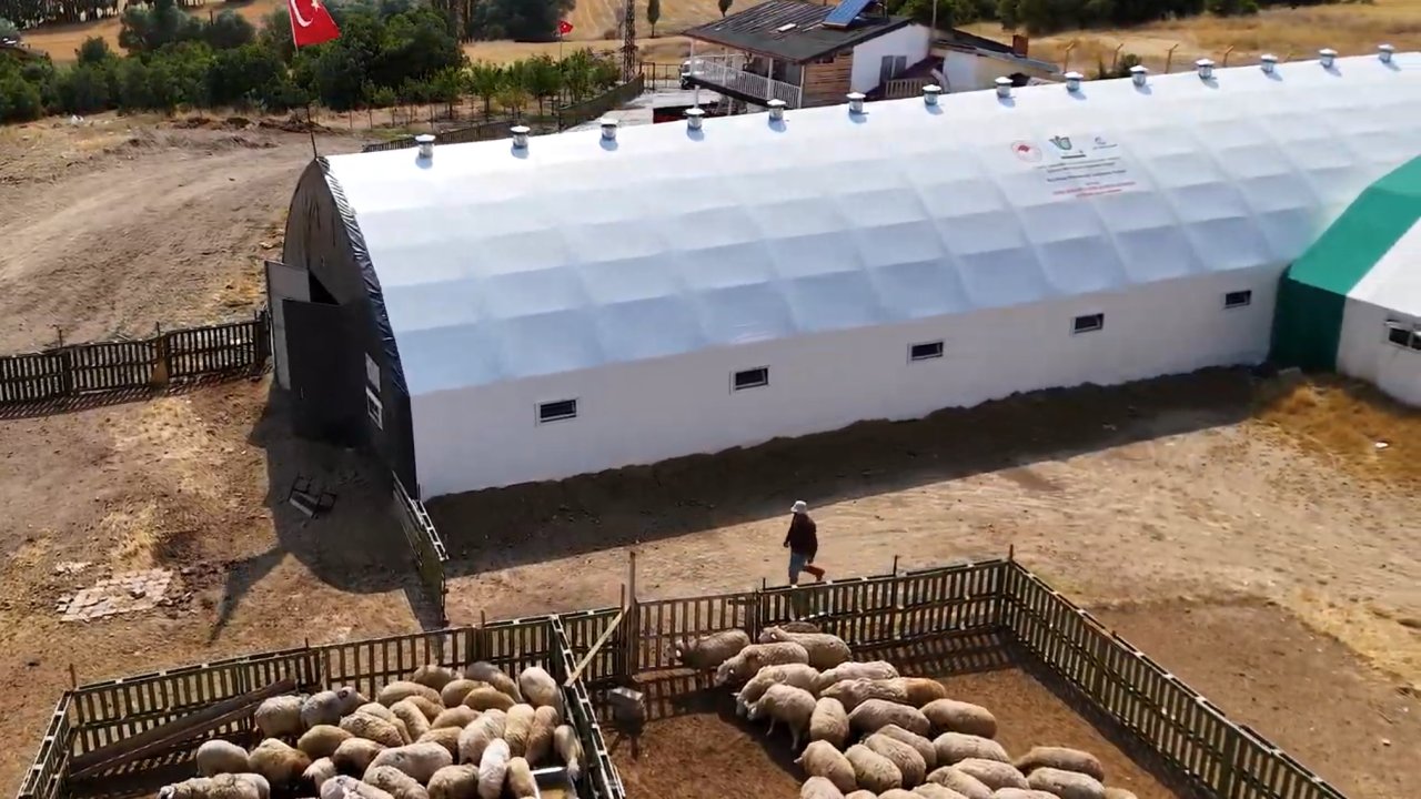 Konya Ovası Projesiyle başlayan yolculukta 470 hayvana ulaştı!