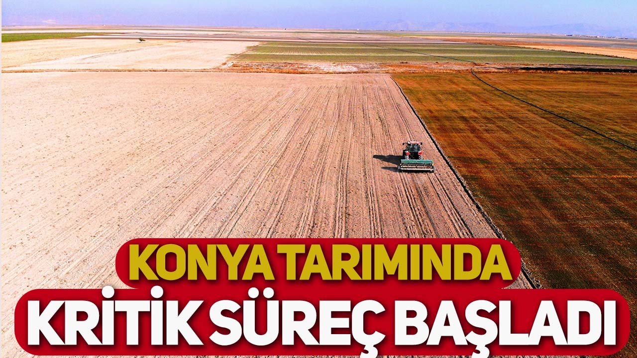 Konya tarımında kritik süreç başladı: Baharlık ekim öncesi uyarı!