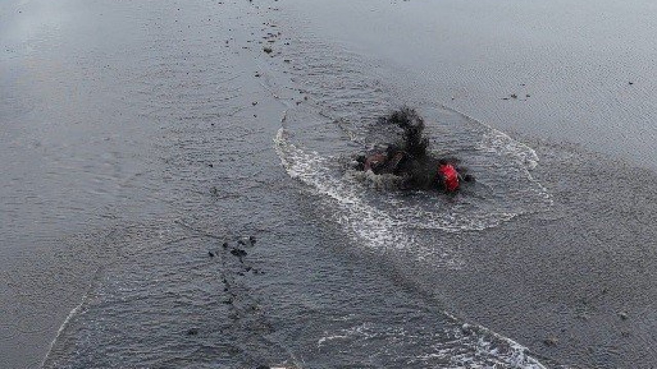 Atla gezi suda bitti