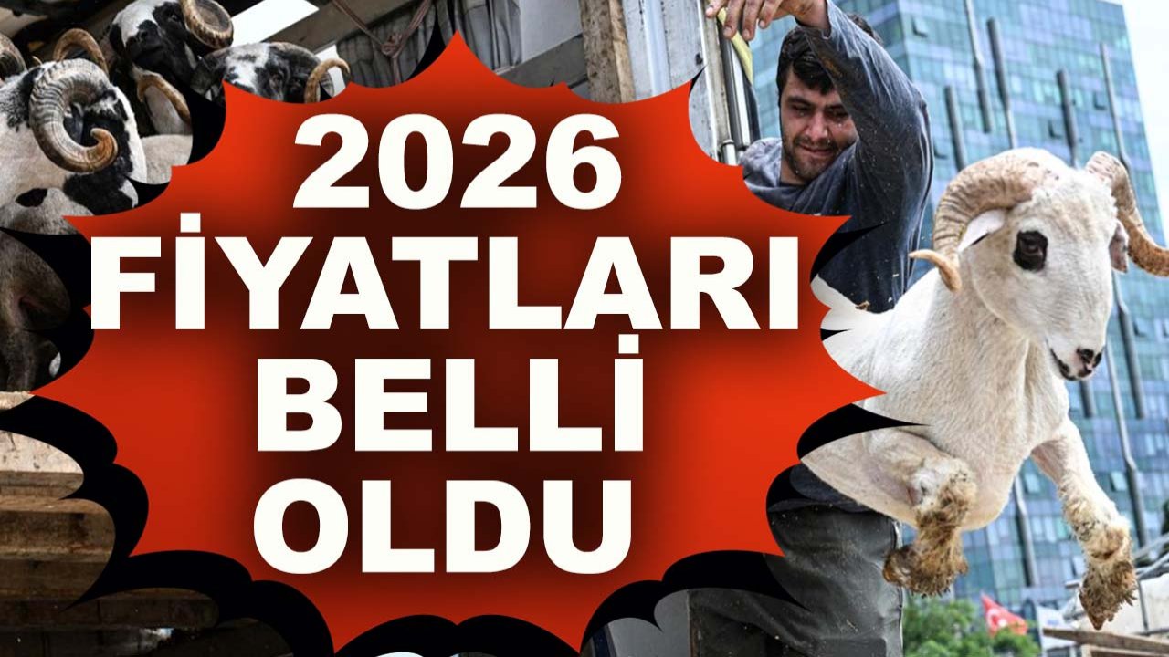 Konya’da kurbanlık piyasası hareketlendi: 2026 Fiyatları belli oldu