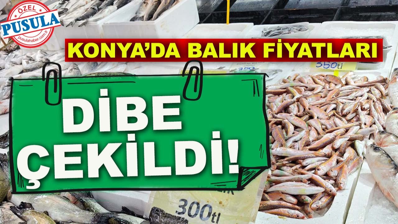 Konya’da balık fiyatları dibe çekildi! İşte güncel balık fiyatları...