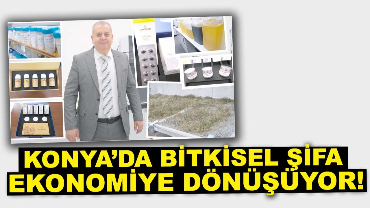Konya’da bitkisel şifa ekonomiye dönüşüyor!