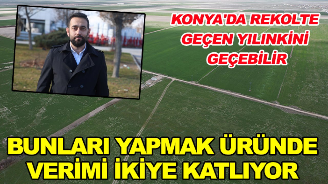 Konya'da rekolte geçen yılınkini geçebilir: Bunları yapmak üründe verimi ikiye katlıyor