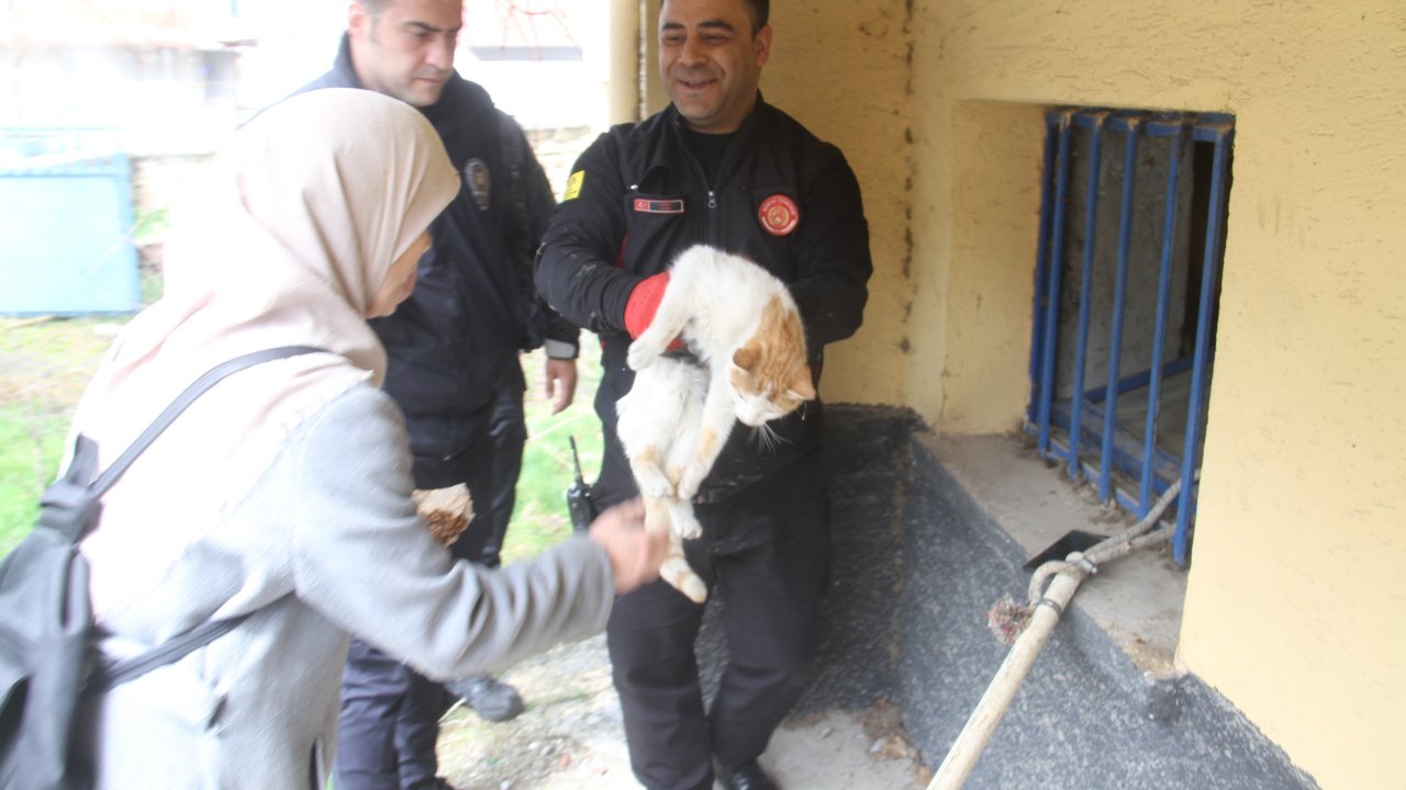 Konya'da açlıktan güçsüz kalan kediyi itfaiye ekipleri hayata döndürdü!