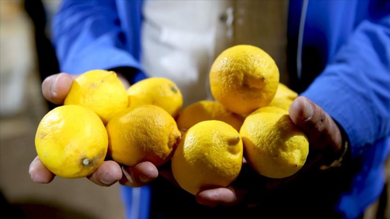 Limon deyip geçmeyin tam bir şifa deposu