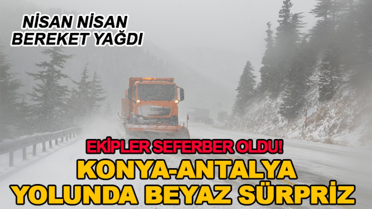 Ekipler seferber oldu! Konya-Antalya yolunda beyaz sürpriz