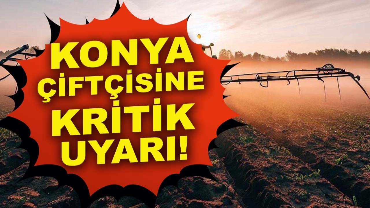 Konya çiftçisine kritik uyarı! İlaçlama için en uygun dönem başlıyor
