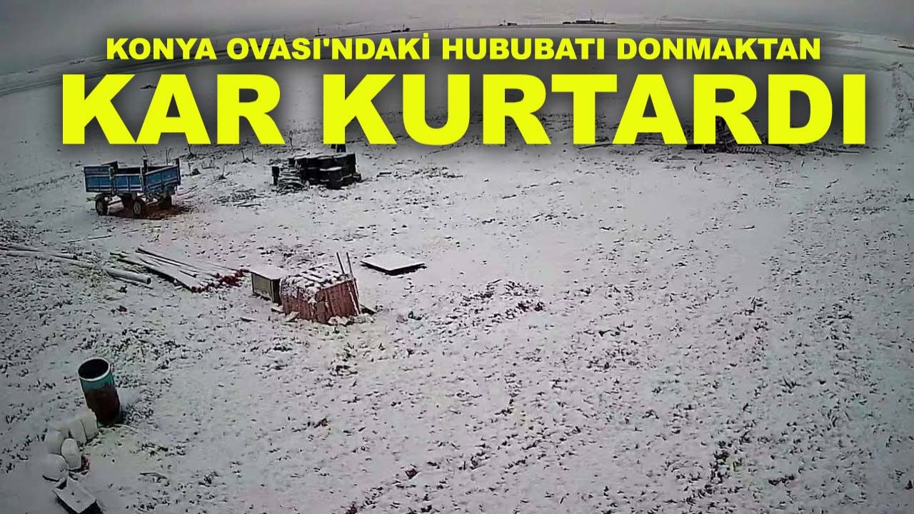 Konya Ovası'ndaki hububatı donmaktan kar kurtardı!