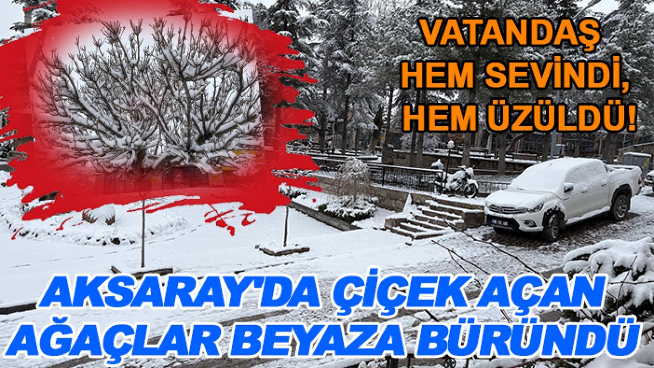 Vatandaş hem sevindi, hem üzüldü! Aksaray'da çiçek açan ağaçlar beyaza büründü